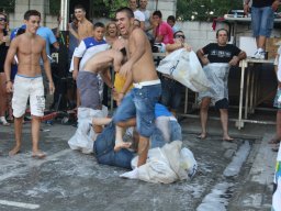 XVII Concentracion - 2010